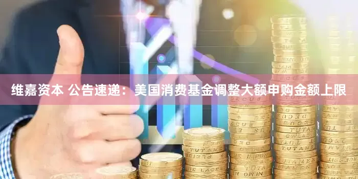 维嘉资本 公告速递：美国消费基金调整大额申购金额上限