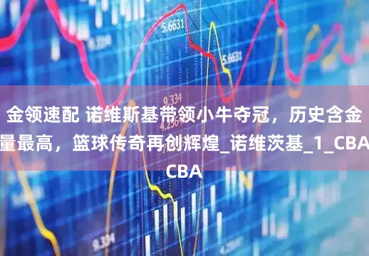 金领速配 诺维斯基带领小牛夺冠，历史含金量最高，篮球传奇再创辉煌_诺维茨基_1_CBA