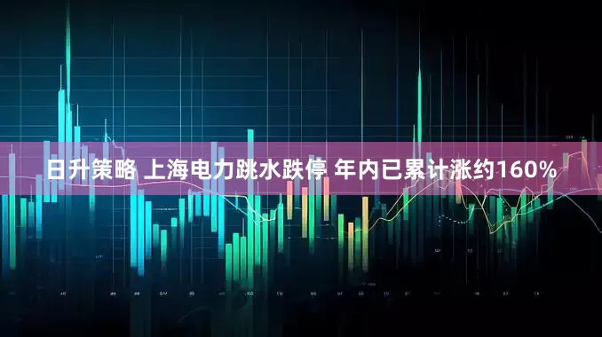 日升策略 上海电力跳水跌停 年内已累计涨约160%