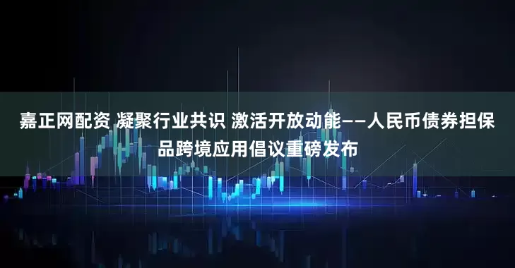 嘉正网配资 凝聚行业共识 激活开放动能——人民币债券担保品跨境应用倡议重磅发布