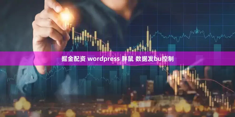 掘金配资 wordpress 胖鼠 数据发bu控制